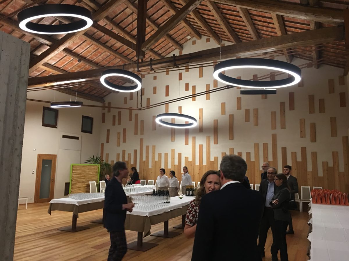 Panetthòn 2016, l’evento, foto 5 di 7
