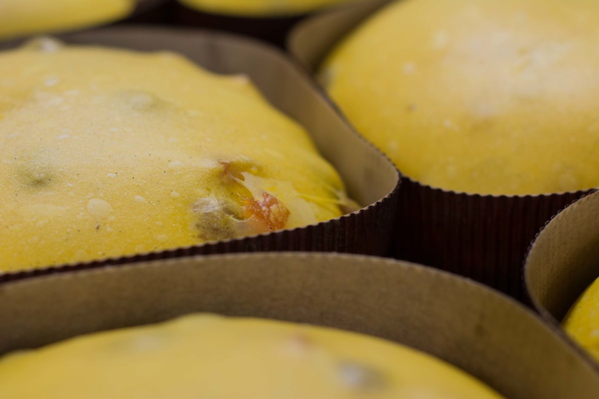 Panetthòn 2016, i produttori, foto 4 di 24