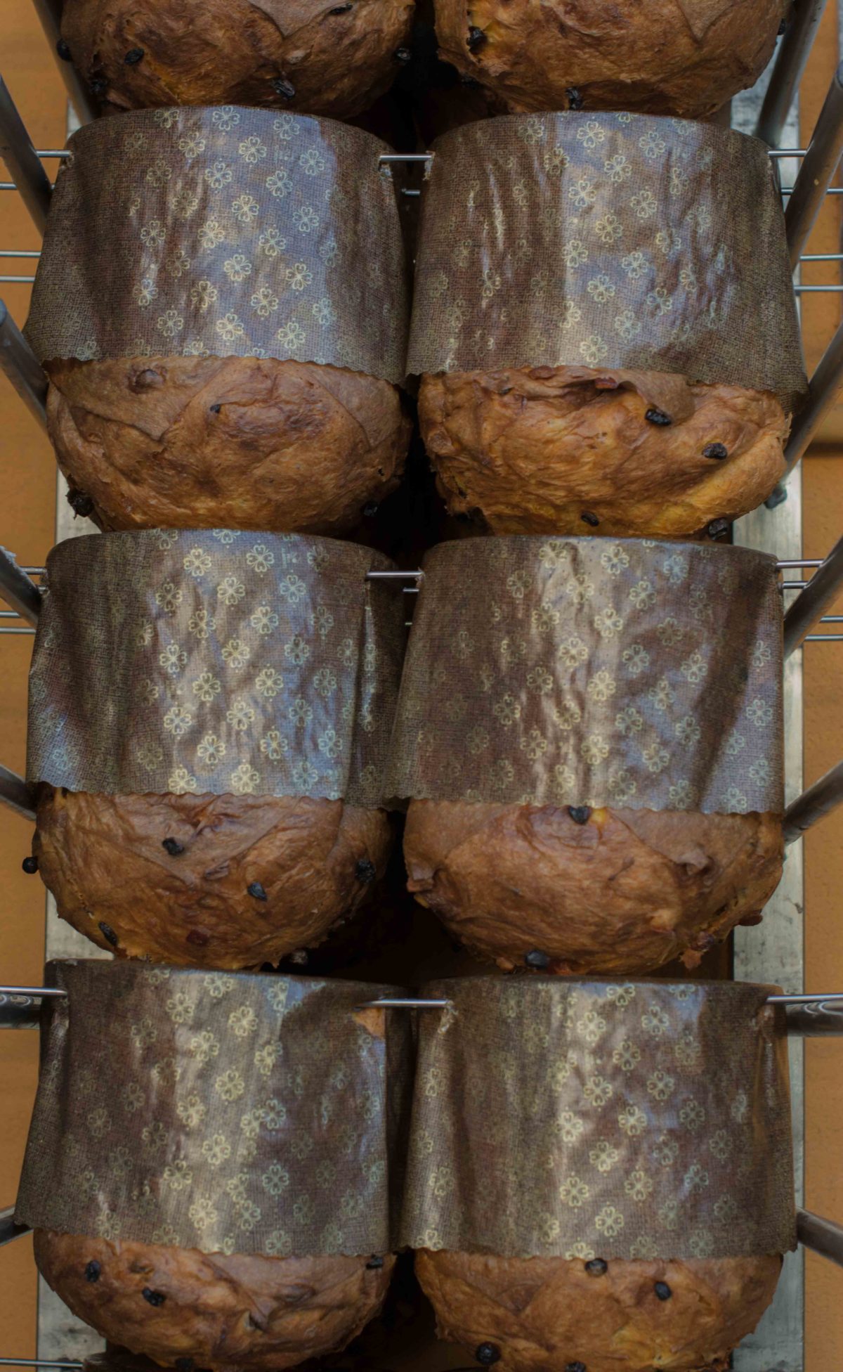 Panetthòn 2016, i produttori, foto 12 di 24