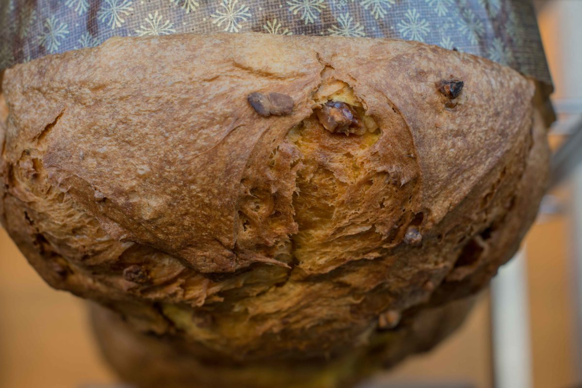 Panetthòn 2016, i produttori, foto 17 di 24