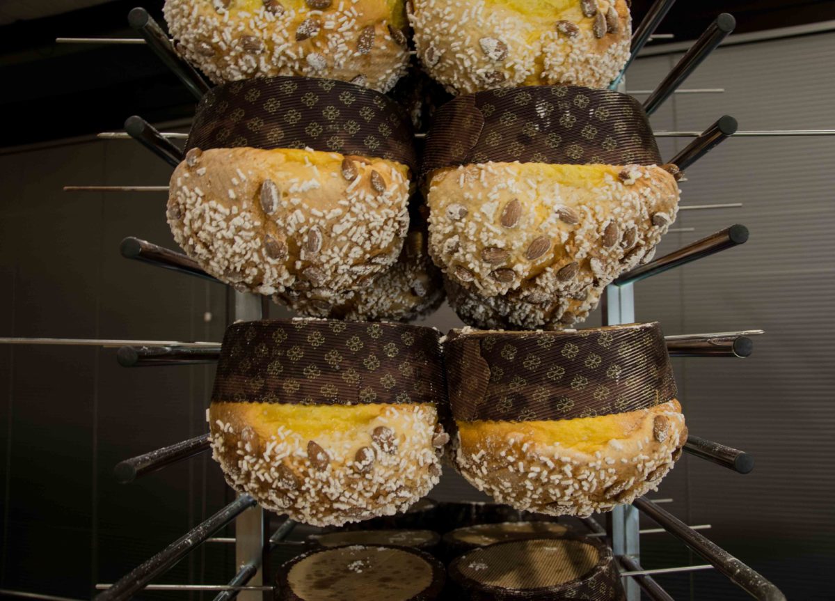 Panetthòn 2016, i produttori, foto 20 di 24
