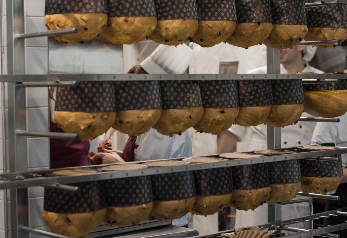 Panetthòn 2016, i produttori, foto 22 di 24